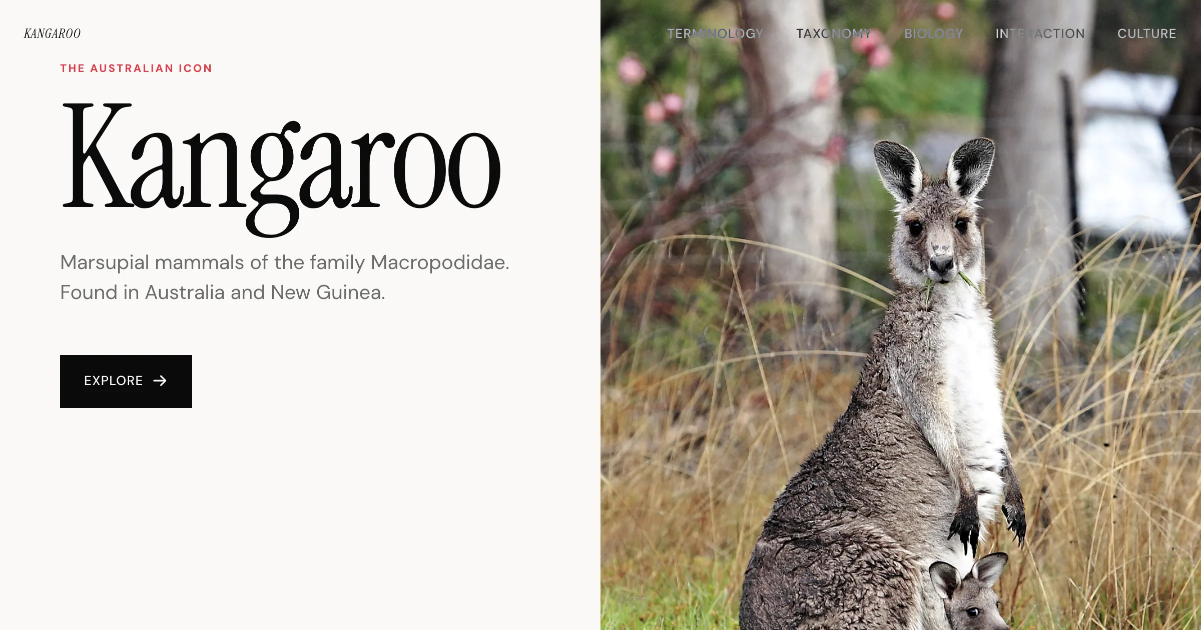 Wikipedia revamp redesign — AI-generated preview by Revamp